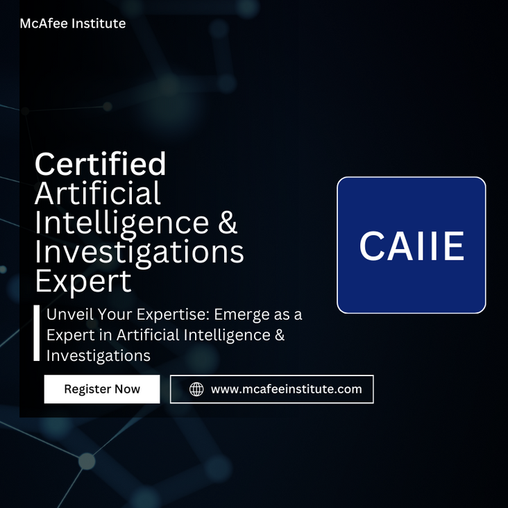 Certified Artificial Intelligence & Investigations Expert (CAIIE)